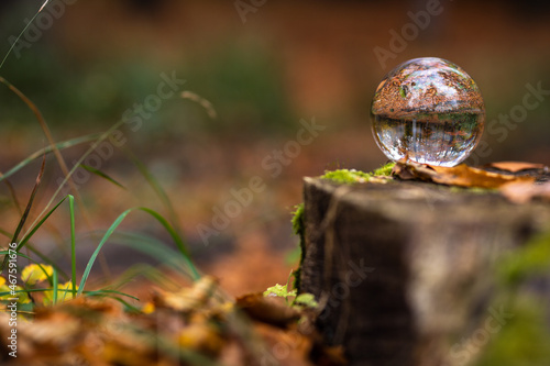 Glaskugel Kristallball liegt auf einem Baumstamm im Wald im Moos photo