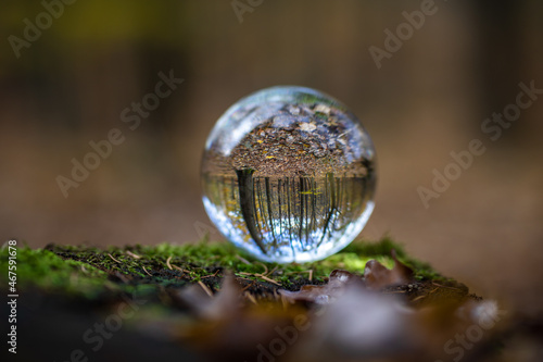 Glaskugel liegt auf Moos im Wald photo