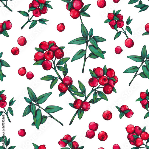 Cranberry pattern seamless. Wild summer forest berry engraving style, cowberry botanical sketch. Plant stems with green leaves and red berries. Decor textile, wrapping paper, vector print