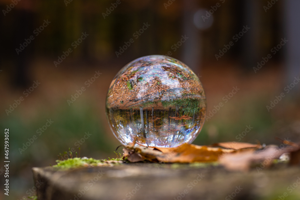 Glaskugel liegt im Wald im Herbst mit Laub um Bäumen Glaskugel liegt im Wald im Herbst mit Laub um Bäumen