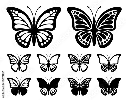 Murais de parede Contours of butterflies with monarch wings