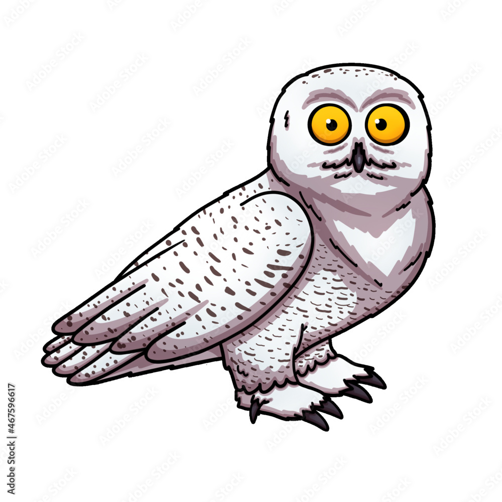 Cartoon Snowy Owl Stock Vector | Adobe Stock