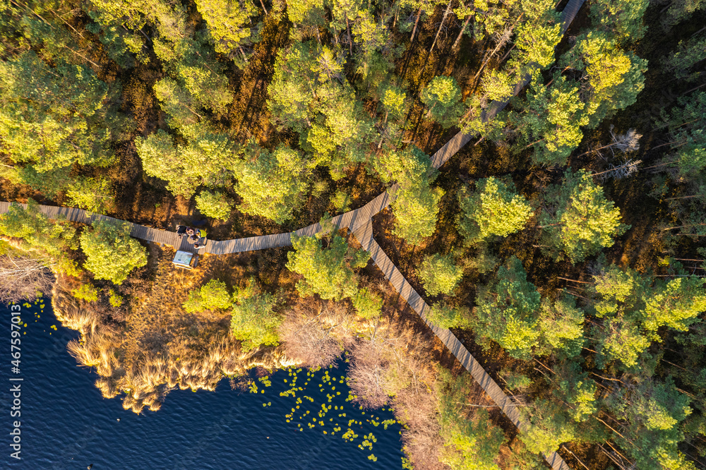 Aerial autumn fall day view Mūšos tyrelis swamp, Lithuania Aerial autumn fall day view Mūšos tyrelis swamp, Lithuania