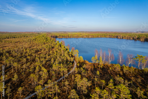 Aerial autumn fall day view Mūšos tyrelis swamp, Lithuania