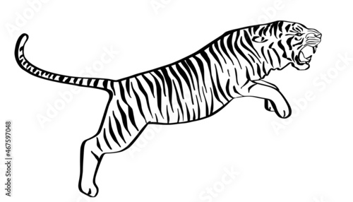 Jumping tiger hand drawn black and white sketch. Angry predator line art mascot.
