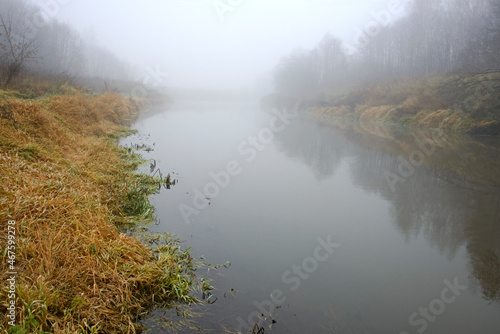 the Russian landscape - the river and the wood in the fall