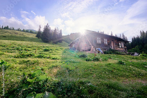 Summer in the Carpathian Mountains. Beautiful landscape with green valley and wooden house.