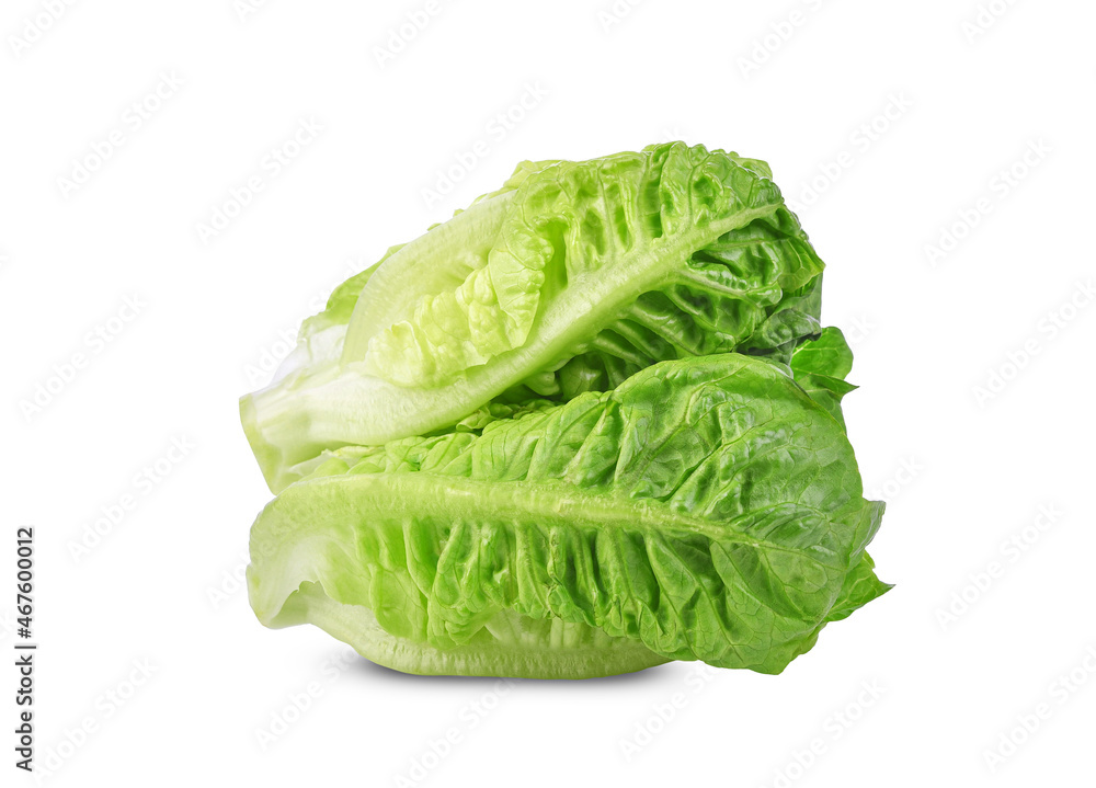 Fresh green cos lettuce isolated on white background. Fresh green cos lettuce isolated on white background.