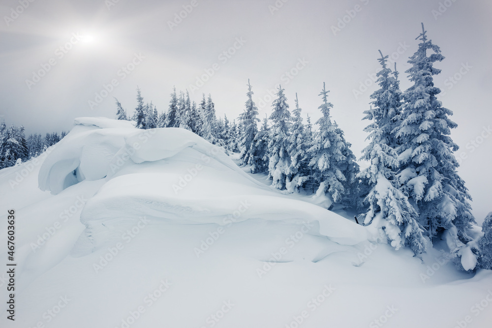 Naklejka premium winter