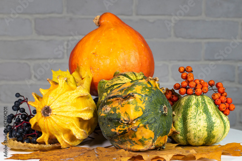 Autumn still life. Decorative pumpkins with yellow leaves. berries on the background of a white brick wall.