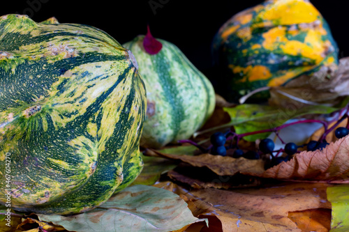 Autumn still life with a decorative green striped pumpkin in the foreground, with fallen leaves, pumpkins, berries in the background, on a black background. Close-up.