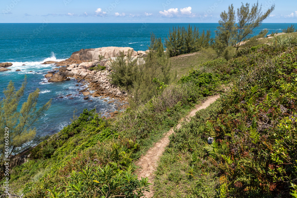 Trail with rocks, waves, sand, vegetation and Pine trees