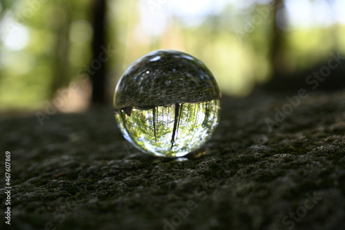 Glaskugel liegt auf Felsen im Wald