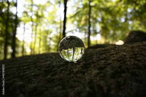 Glaskugel Kristallkugel liegt auf Felsen im Wald