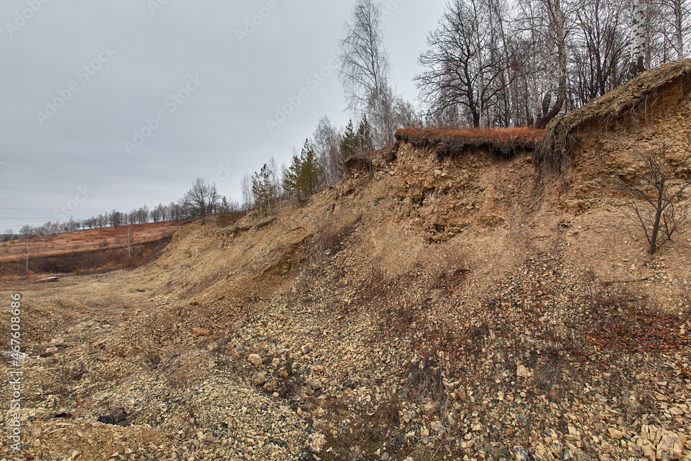Fototapeta premium Dry trees on a steep slope. Steep high ravine