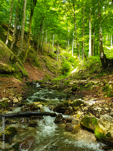 stream in the forest, Buila Vanturarita Mountains, Romania  photo