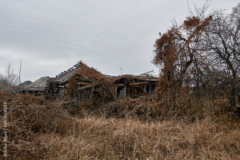A dilapidated house in a Russian village. Nature scenery.