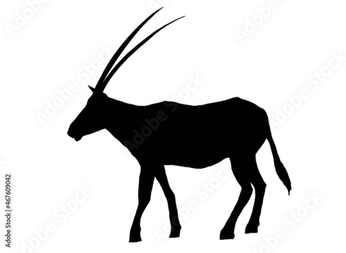 silhouette of Arabian oryx on white background 