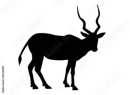 silhouette of addax on white background 