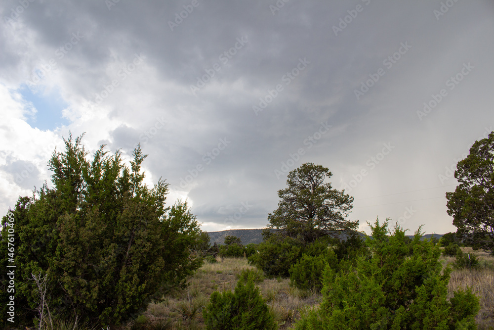 Severe Storm Severe Storm
