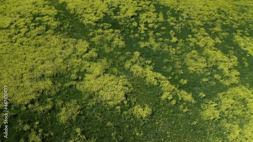 Wallpaper Mural Aerial: Panning Scenic View Of Green Plants, Drone Flying Over Landscape - Apennine Mountains, Italy Torontodigital.ca