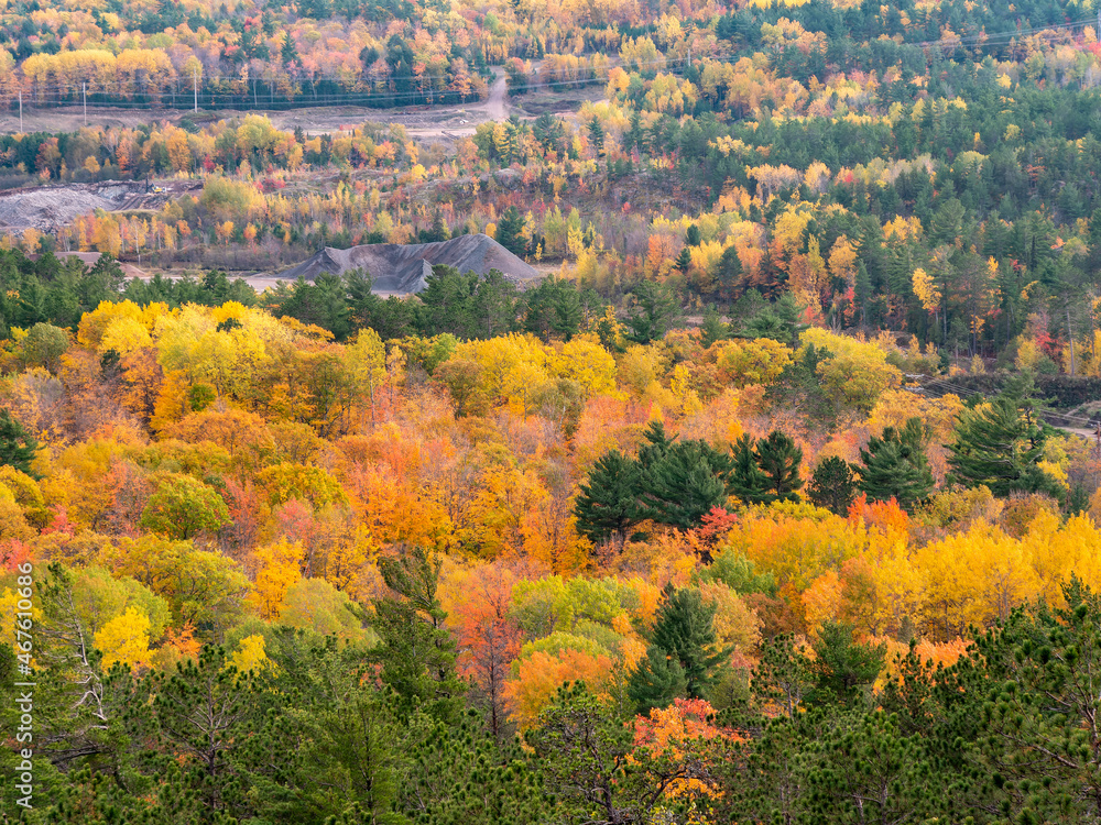 Telephoto View of Fall Colors on Trees 