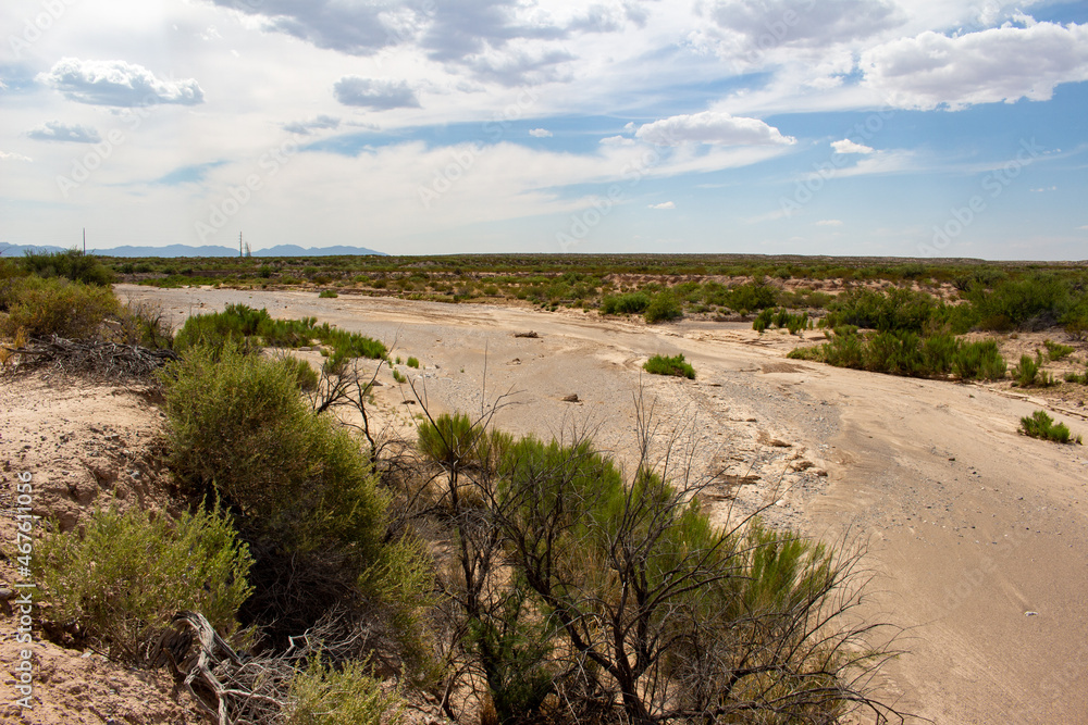 Desert Landscape Desert Landscape