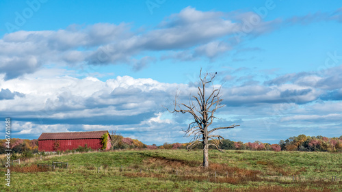 Fototapeta Naklejka Na Ścianę i Meble -  Rustic Old Red Barn in a Grassy Meadow on a Maryland Farm during Autumn with Vivid Fall Colors