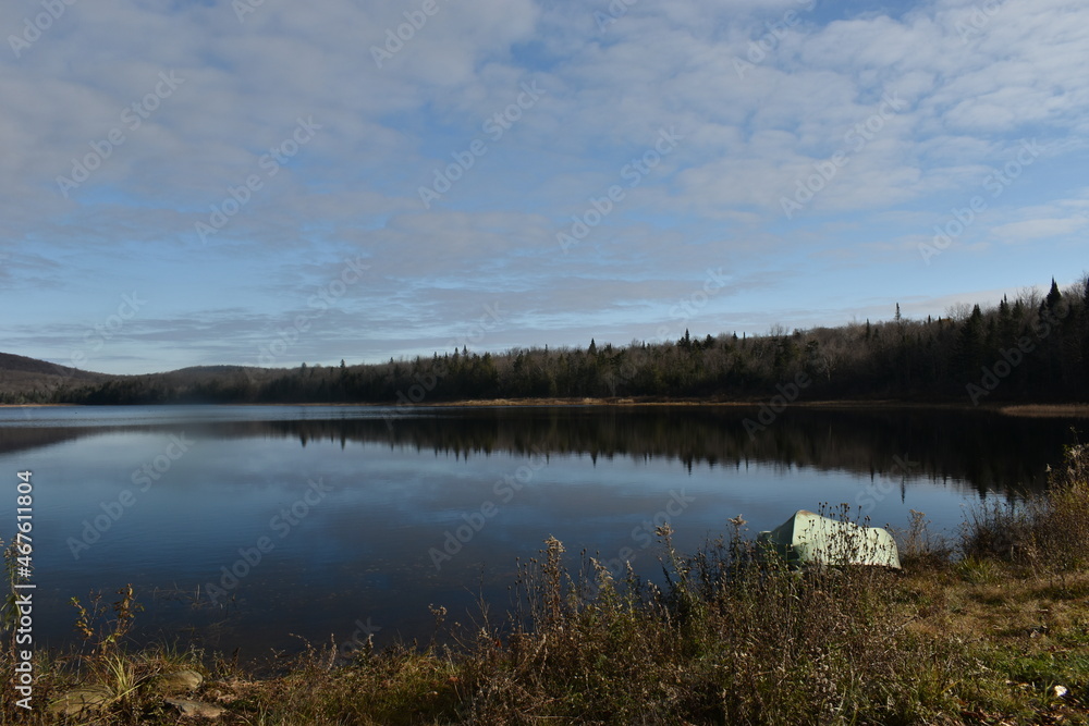 Fototapeta premium Country