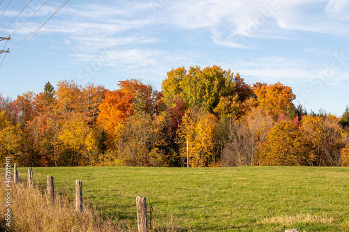 Fall Landscape Across Quebec, Canada