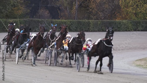 Slow motion trotting horse race
