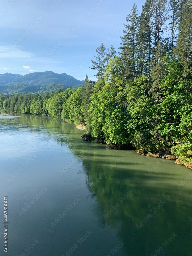 Obraz premium lake in the forest