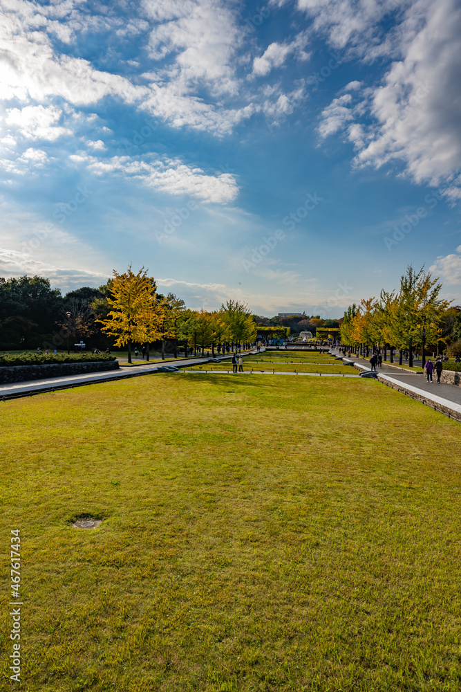 Obraz premium 昭和記念公園