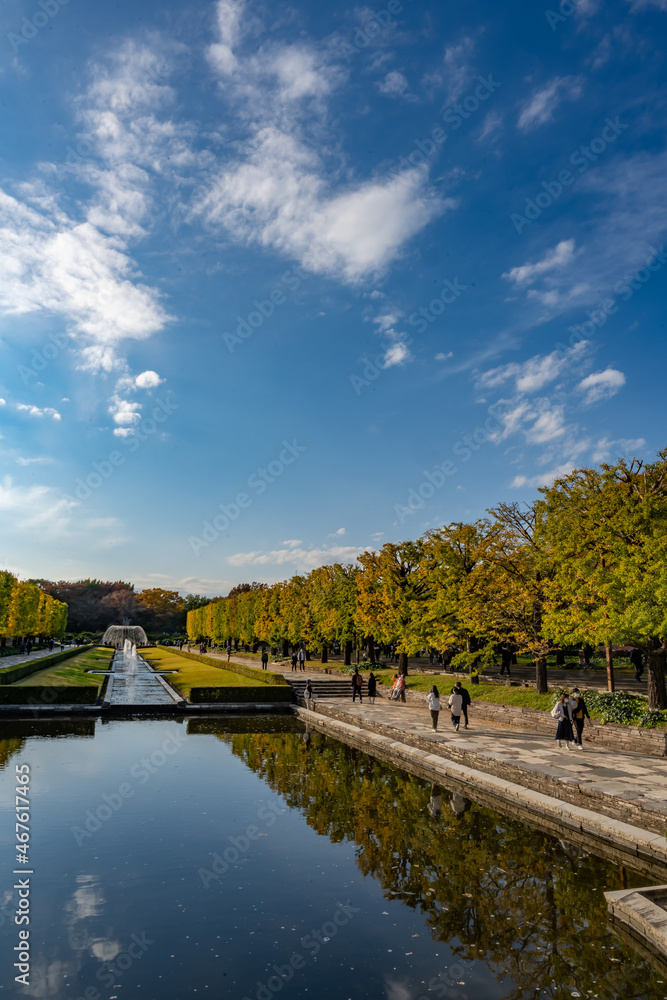 Fototapeta premium 昭和記念公園
