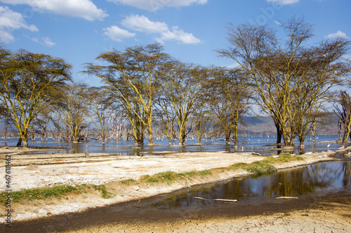 A view of Lake Nakuru in Kenya. 