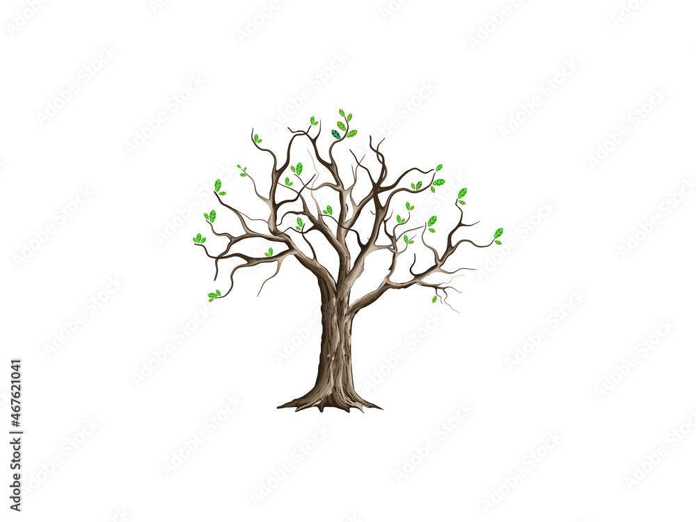 blooming dry tree vector illustrations blooming dry tree vector illustrations