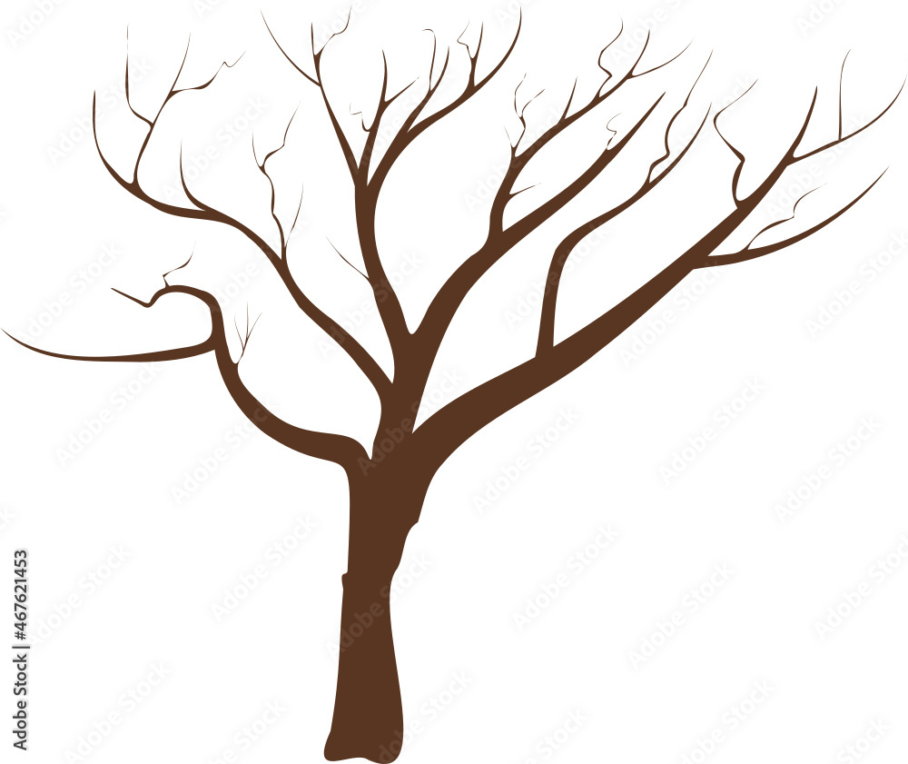 árbol sin hojas, árbol seco. vector sin fondo, fondo transparente