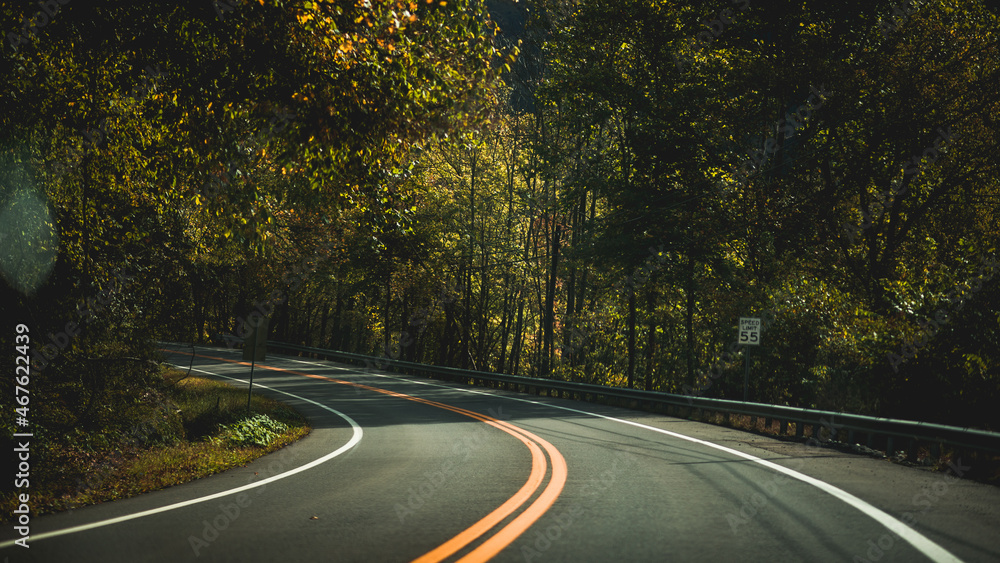 Fototapeta premium driving on the road