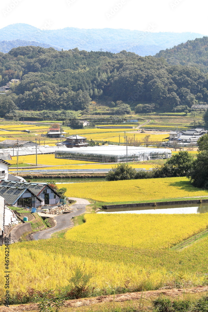 田舎の田園風景|縦構図 Stock 写真 | Adobe Stock