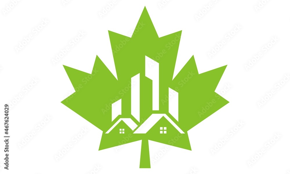maple and building maple and building