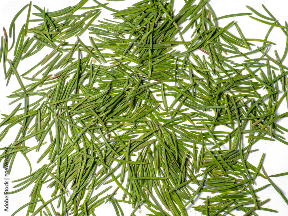 Background from Christmas tree needles. Spruce. New Year