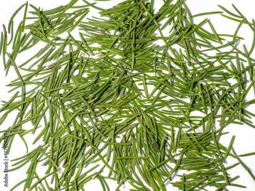 Background from Christmas tree needles. Spruce. New Year