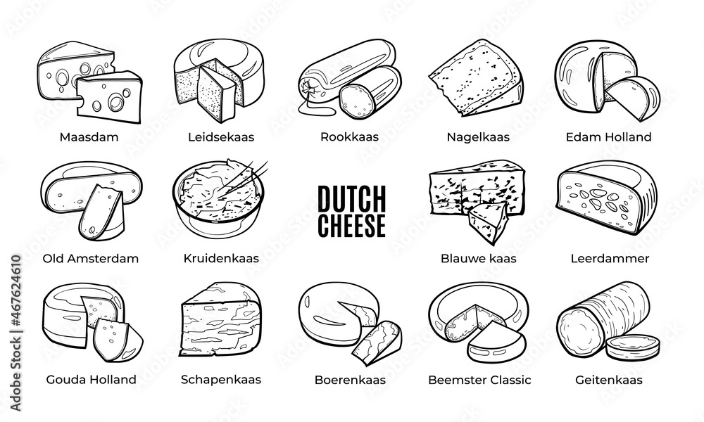 Collection of traditional Dutch cheese. Hand drawn sketch in doodle style.