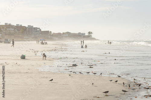 People and animals on the beach in Salinas, Pará state, Brazil.