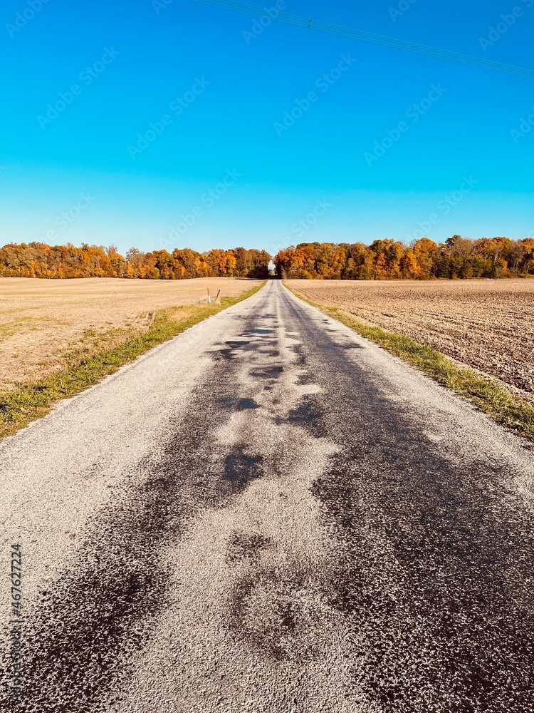 Naklejka premium road to horizon