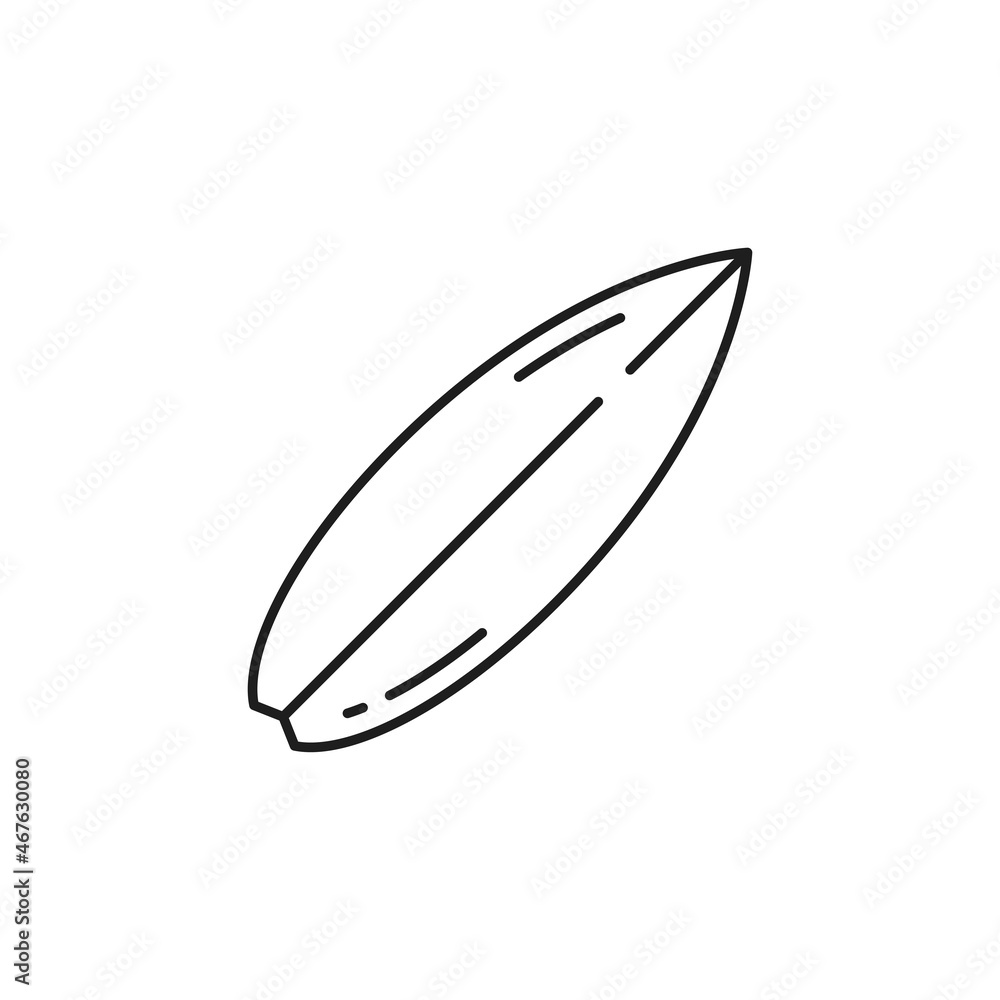 Green or black olive leaf single thin line object isolated organic plant. Vector mediterranean herb, natural cosmetics ingredient, antioxidant. One leaf autumn forest symbol, farm agriculture leafage Green or black olive leaf single thin line object isolated organic plant. Vector mediterranean herb, natural cosmetics ingredient, antioxidant. One leaf autumn forest symbol, farm agriculture leafage
