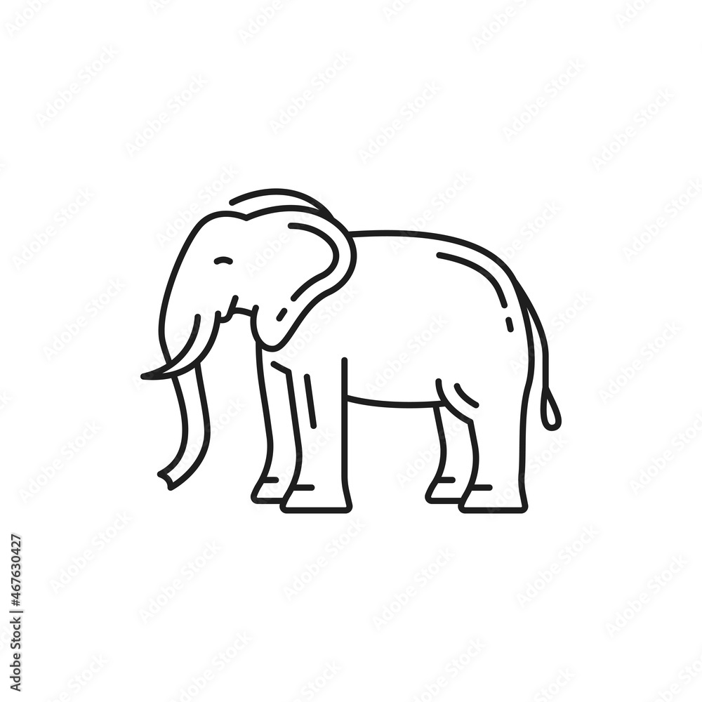 Fototapeta premium Thailand animal elephant isolated thin line icon. Vector safari african elephant with trunk and two tusks. African bush forest Asian Elephantidae side view. Thai fauna symbol, big endangered mammal