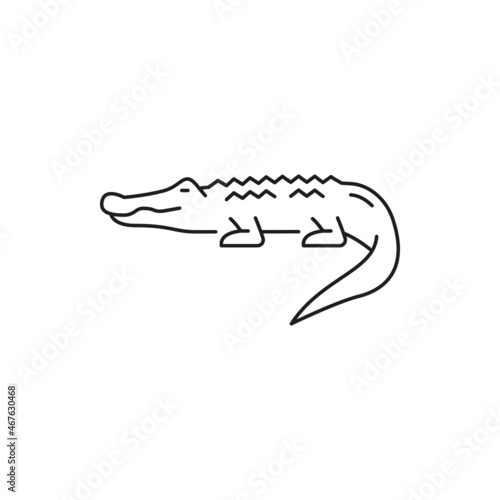 Wild crocodile, american alligator isolated thin line icon. Vector mississippiensis predator animal, symbol of Thailand, dangerous creature. Thai predator, scary carnivore crocodylus reptile