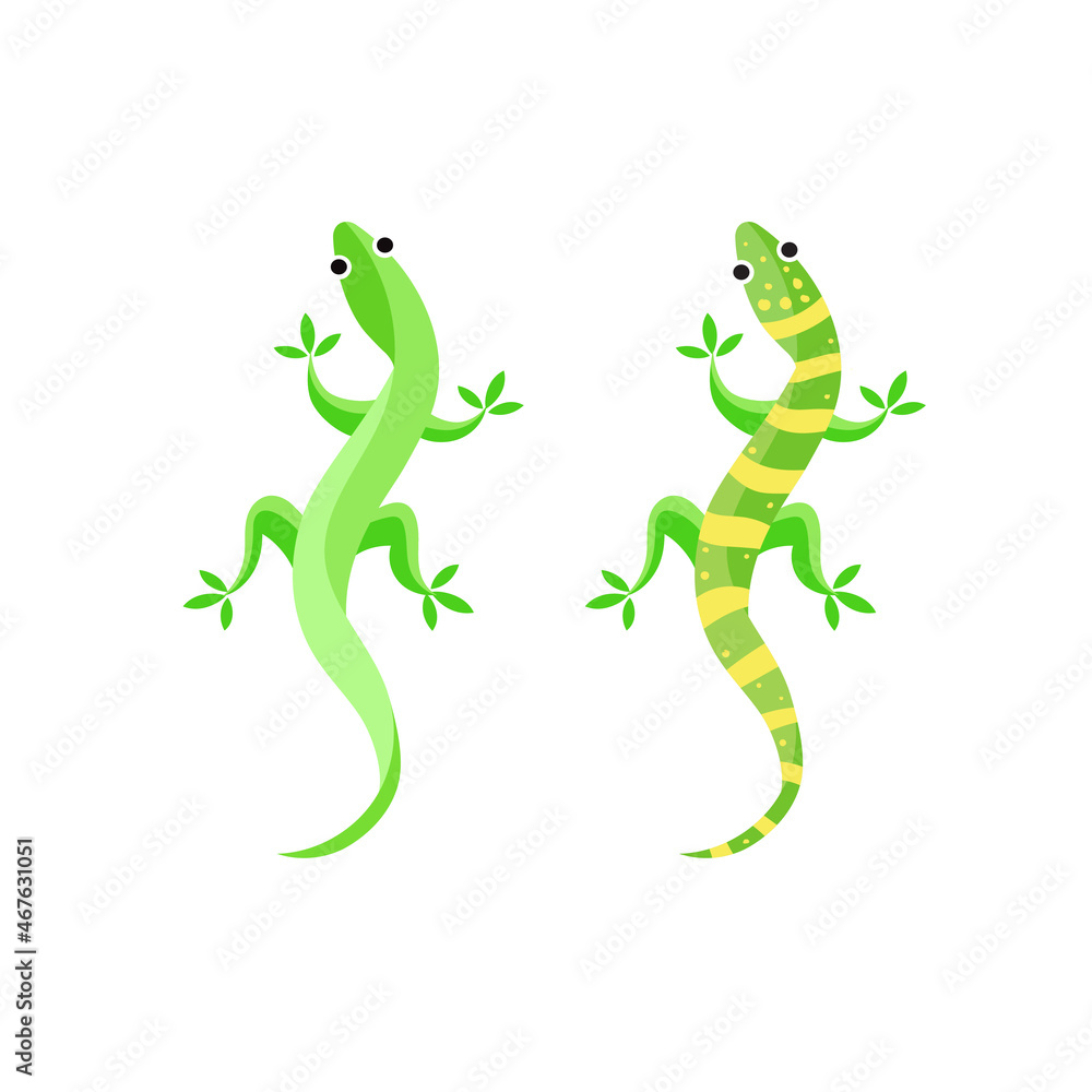 Naklejka premium Gecko or lizard Vector illustration