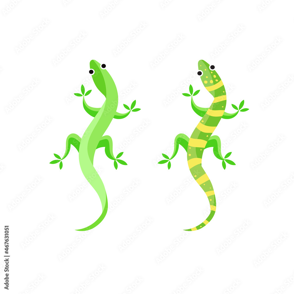 Obraz premium Gecko or lizard Vector illustration